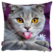 Kedili Yastık Kılıfı-37